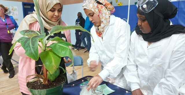 Options and Electives